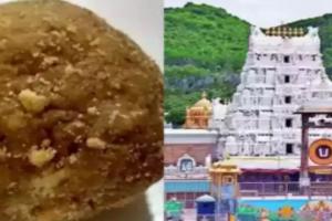 Tirupati के 'लड्डू प्रसादम' की पवित्रता बहाल कर दी गई है', मंदिर प्रशासन ने जारी किया बयान, जानें क्या कुछ कहा..