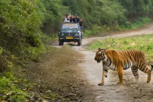 टनकपुर: जिम कॉर्बेट ट्रेल से युवाओं को मिलेगा रोजगार: डॉ. पांडेय 