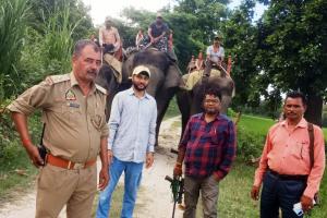 पीलीभीत: हाथियों की मदद से की गई कॉबिंग, बाघ की मौजूदगी वाले क्षेत्र में पहुंची टीम...निगरानी बढ़ाई 