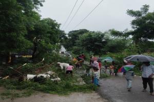  तूफानी बारिश व हवा से बिजली व्यवस्था ध्वस्त, शहर से लेकर गांव तक की बिजली गुल 