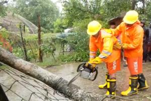 Cyclone Dana: ओडिशा में NDRFऔर ODRAF की टीमों ने शुरू किया ‘दाना’ के कारण उखड़े हुए पेड़ों को हटाना