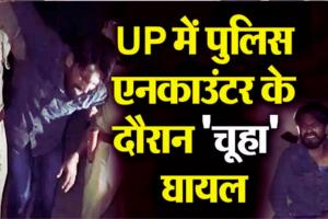 मेरठ पुलिस से मुठभेड़ में घायल हुआ 'चूहा', पैर में लगी गोली...25 हजार का था इनाम