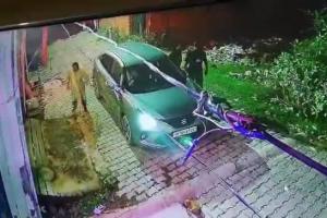 उन्नाव में कार सवार युवकों ने कुत्ते को रौंदकर मार डाला: घटना CCTV में कैद, FIR दर्ज