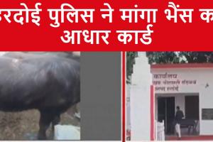 Hardoi News: भैंस का आधार कार्ड लाओ तब दर्ज होगी FIR, हरदोई पुलिस ने किया गजब कारनामा