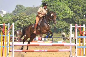 घुड़सवारी प्रतियोगिता: मुरादाबाद के घोड़ों व घुड़सवारों का रहा दबदबा