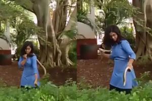 Shocking! शरीर में सांप को लपेटे खिलौने की तरह खेलते दिखी लड़की, Video देख कांप जाएगी रूह