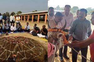 प्रदेश की गोशालाओं में धूमधाम से हुई गोवर्धन पूजा, कैबिनेट मंत्री  ने गायों को खिलाया गुड़ और हरा चारा