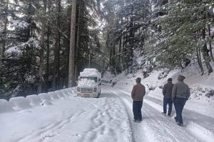 पहाड़ों पर बिछी बर्फ, मैदान में शीतलहर का जोर 