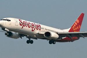 SpiceJet 2025 में चार नए शहरों से हज के लिए संचालित करेगी 100 उड़ानें