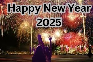 New Year 2025: नए साल के जश्न से पहले पढ़ लें ये एडवाइजरी, हुड़दंगियों पर रहेगी नजर...दिल्ली-NCR में प्रशासन मुस्तैद