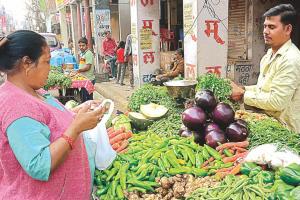 कानपुर में शादियों के सीजन में सब्जियों के दाम बढ़े: टमाटर, लहसुन, लौकी व भिंडी की कीमत आसमान पर, देखें- सभी रेट लिस्ट