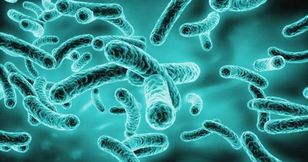 Five types of bacteria caused 6.8 lakh deaths in India, reveals study